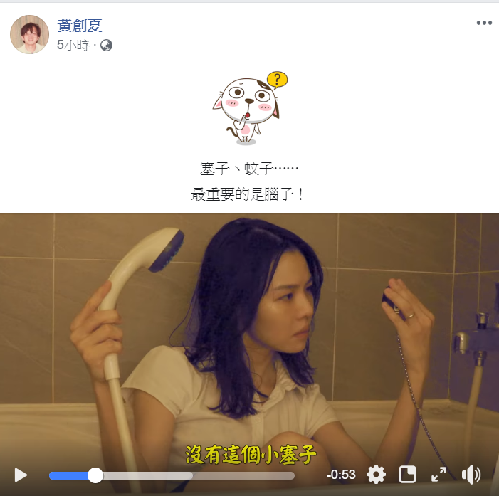 黃創夏轉貼影片，眉批「塞子、蚊子…最重要的是腦子！」 圖：翻攝黃創夏臉書