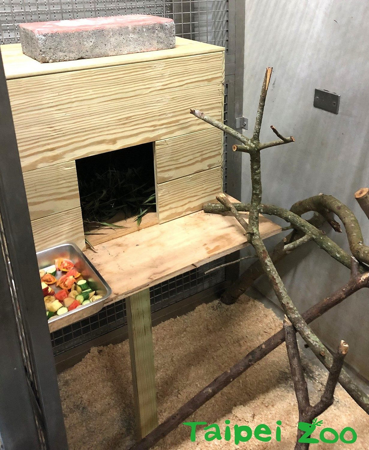 保育員為指猴「Hira」於檢疫期間布置的新家。 圖：台北市立動物園／提供