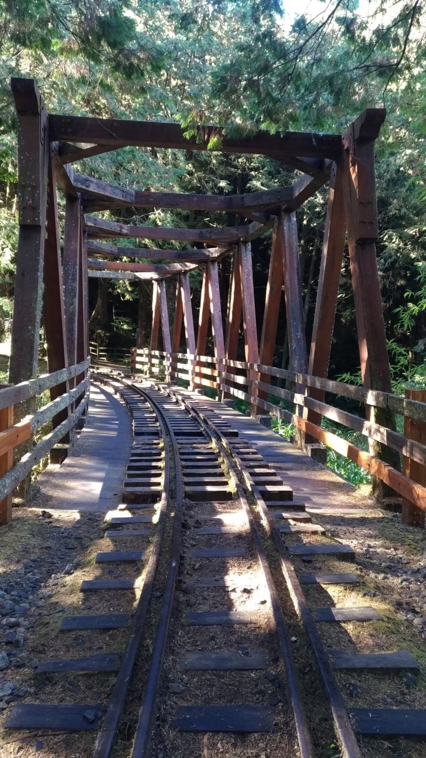 陽光灑落水山步道，邊走步道，邊用心聆聽自然的聲響。 圖：阿里山林業鐵路及文化資產管理處網站／提供