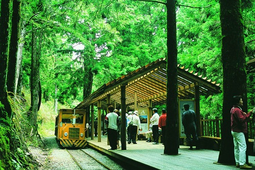搭乘太平山蹦蹦遊園車可輕鬆吸收芬多精，感受昔日台車懷古氛圍，是遊樂區很受歡迎的設施。 圖：太平山官網／翻攝