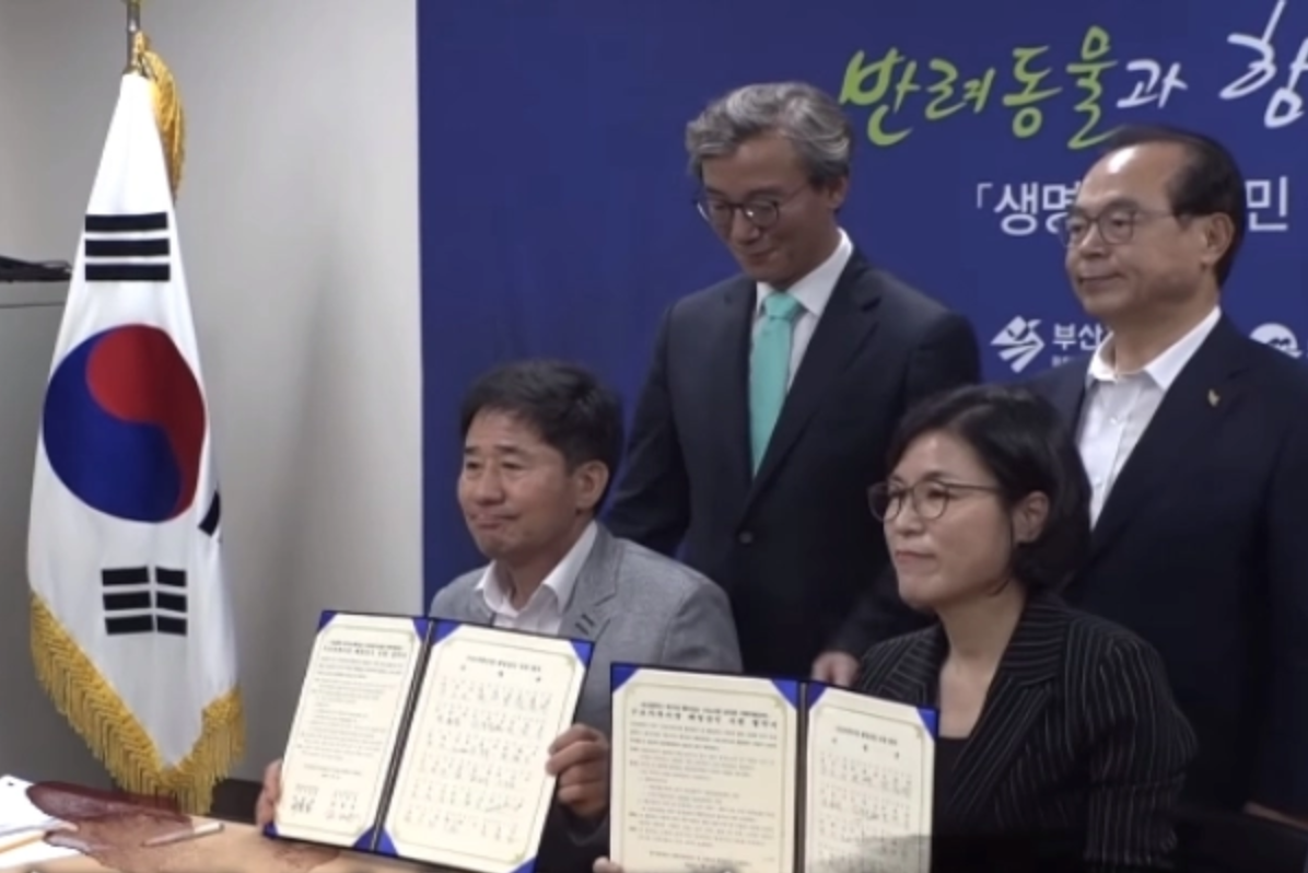 釜山市政府與市場簽訂條約，從此不再宰殺及販售狗肉。 圖／翻攝自FB@SBS TV동물농장x애니멀봐