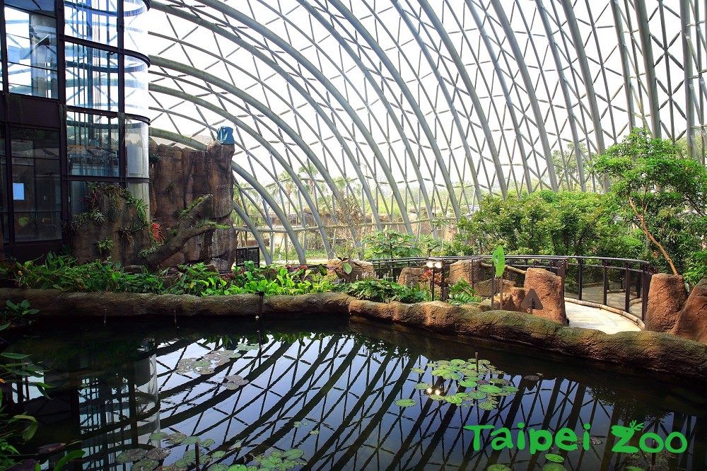 一進入「穿山甲館」就可感覺到整體空間開闊、植栽錯落有致的氛圍。 圖：台北市立動物園／提供