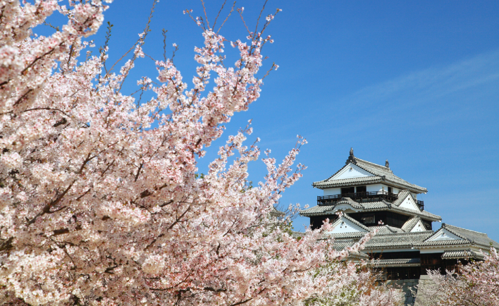 松山城被繁華的現代城市包圍，漫步在松山市城下町，可見識現代與古蹟和諧並存的風貌。 圖：松山市旅遊官方網站／翻攝