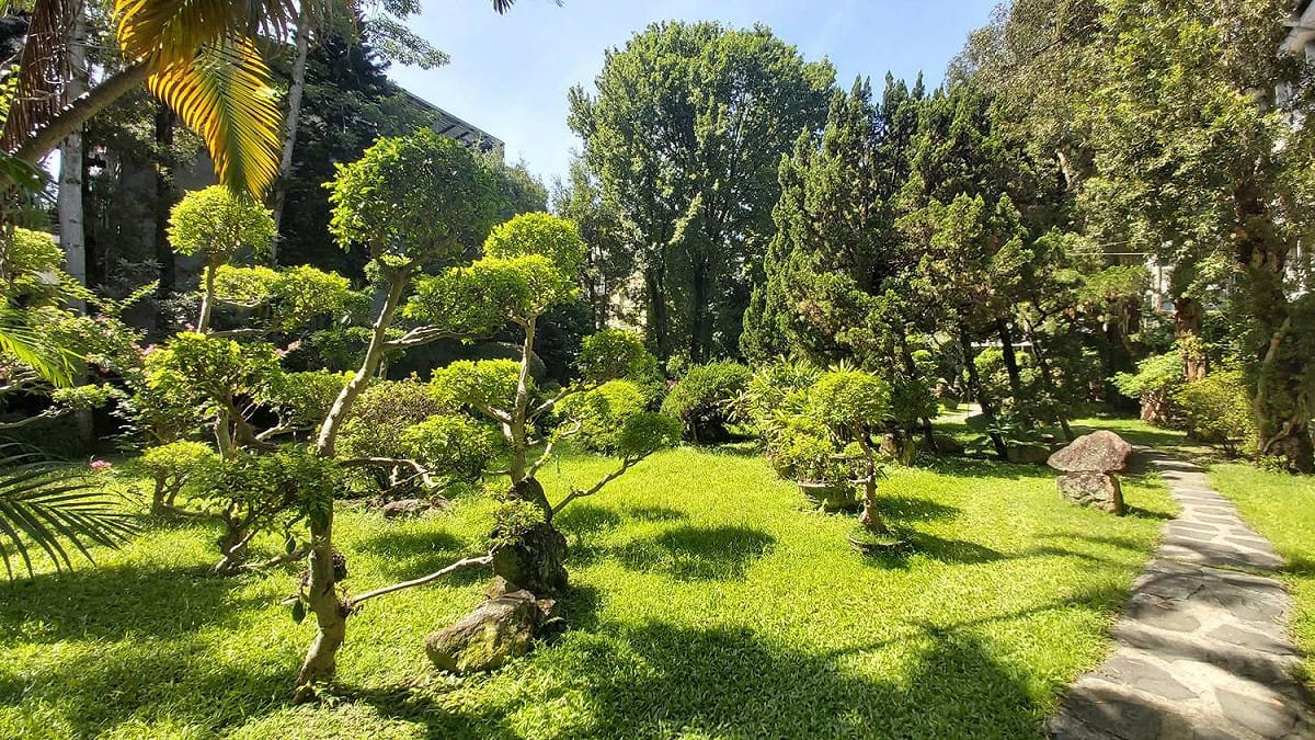 調查局偌大的園區，不但花草樹木繁多，還充滿生物多樣性。  圖：新北市動保處提供