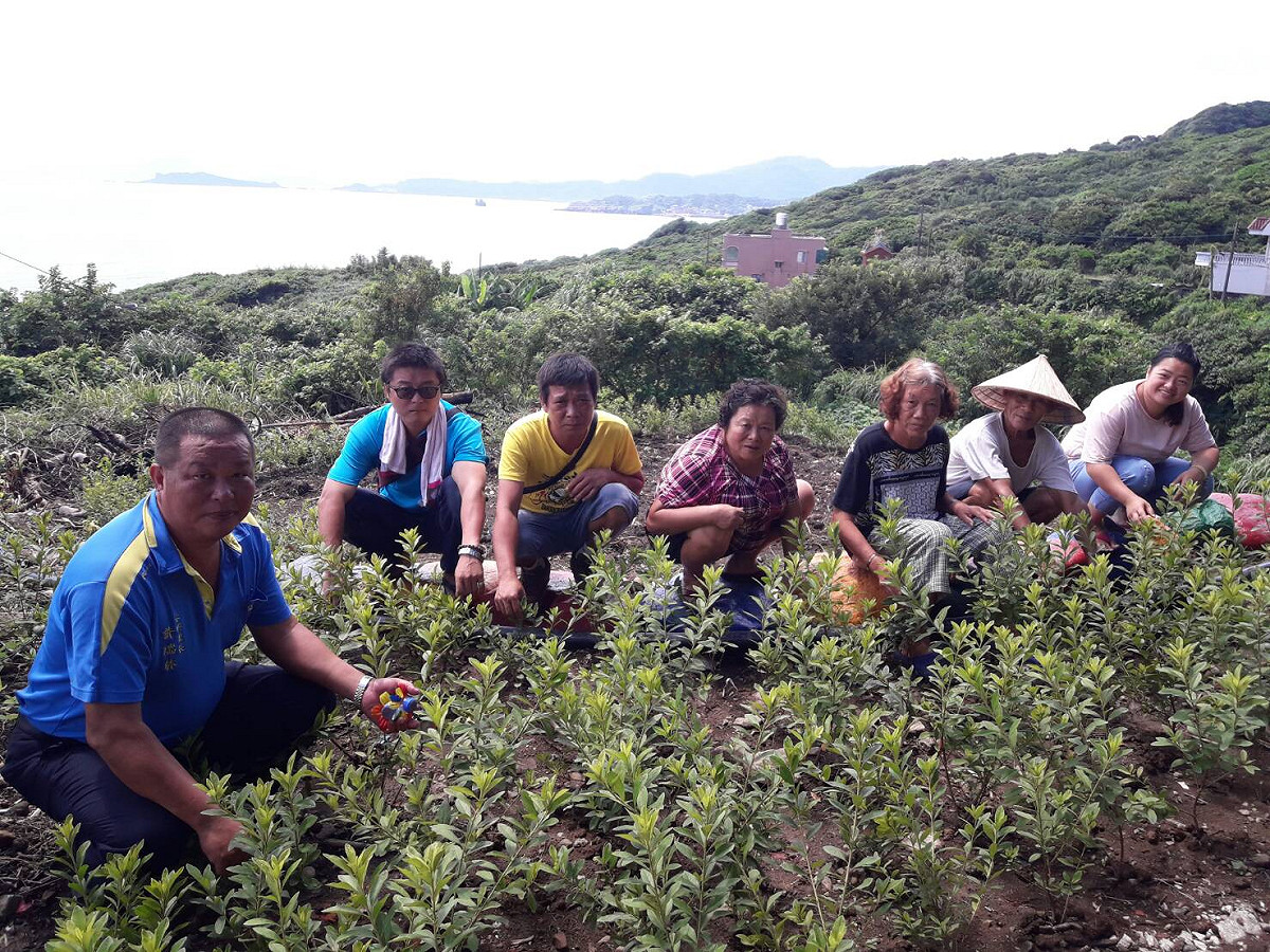 金山區永興里民與農業局合作，在社區內種植1600株萬金杜鵑。  圖：新北市農業局/提供