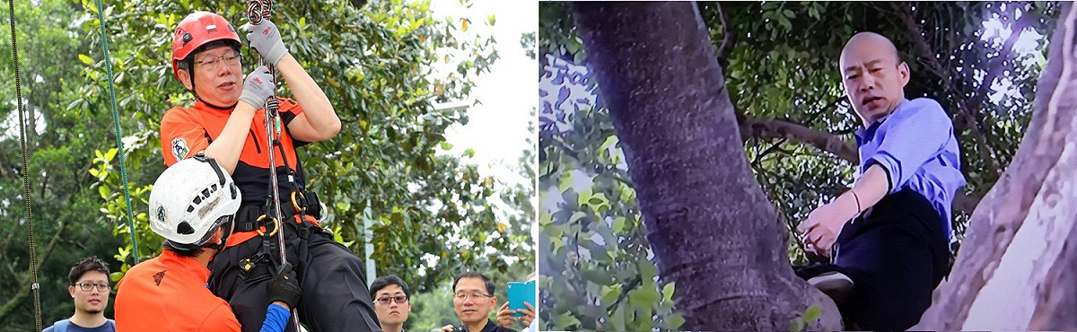 圖左：2016年大安森林公園生態博覽會EcoFair，台北市長柯文哲示範攀樹；圖右：高雄市長韓國瑜視察登革熱防疫，突如其來爬樹勘察樹洞積水。 圖：新頭殼合成(北市府官網/孫家銘攝)