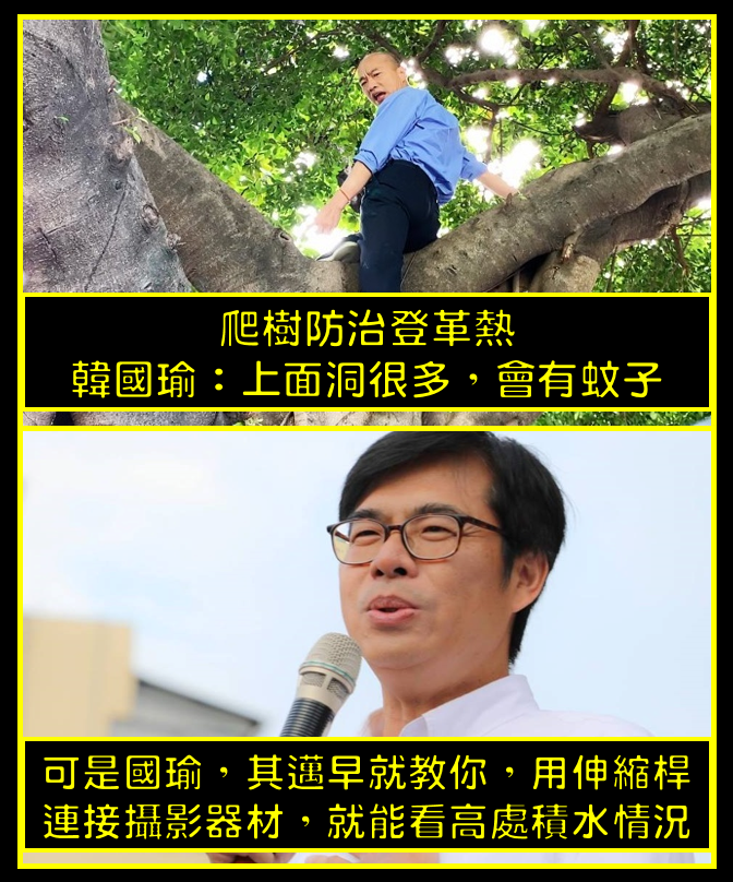 高雄市長韓國瑜為防疫登革熱，攀樹勘察樹洞；但被爆料行政院副院長陳其邁之前就「教」過韓國瑜，「用伸縮桿連接攝影器材」，就能看高處積水情形。 圖：翻攝打馬悍將粉絲團臉書