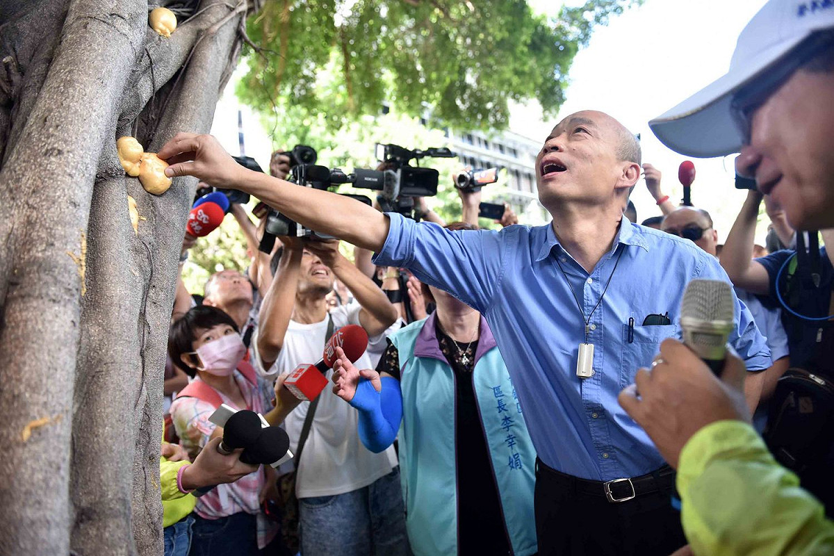 高雄市長韓國瑜24日視察登革熱疫情，詢問路樹樹洞積水狀況處理。此時已見部份樹洞已填發泡劑。 圖：高雄市政府/提供（資料照片）