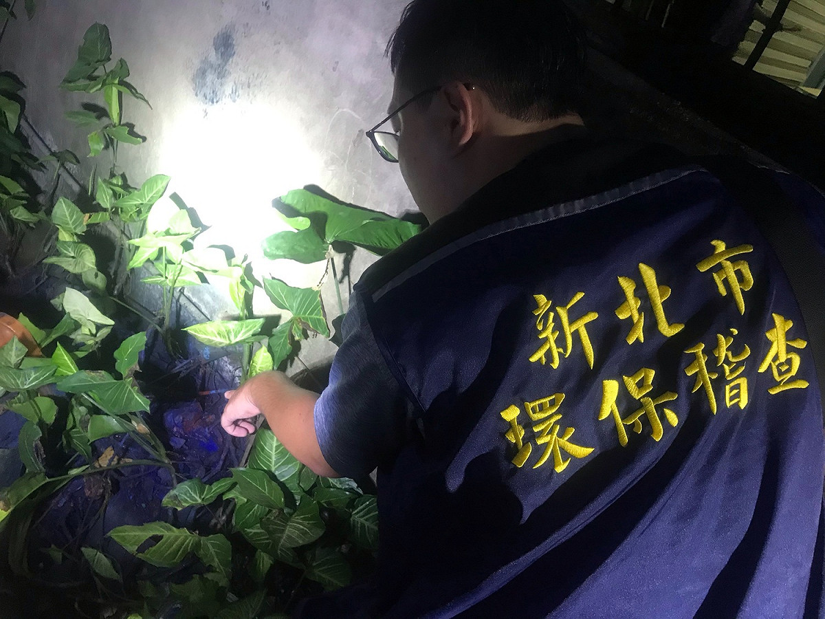 稽查員鍥而不捨沿防火巷水路全面搜查，終於發現藍色廢液殘跡。 圖：新北市環保局提供