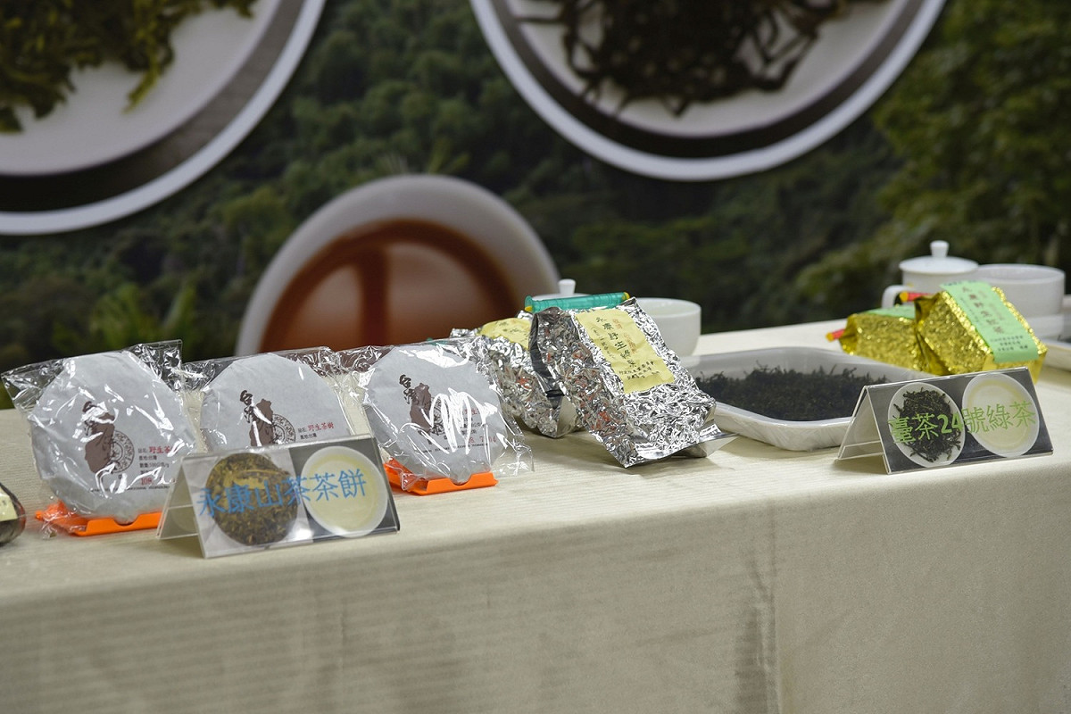 台茶24號歷經19年育種終於誕生。 圖：農委會／提供