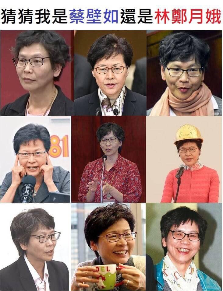 有網友發現北市府顧問蔡壁如與香港特首林鄭月娥長得很像，並作成合成圖。 圖：翻攝網路