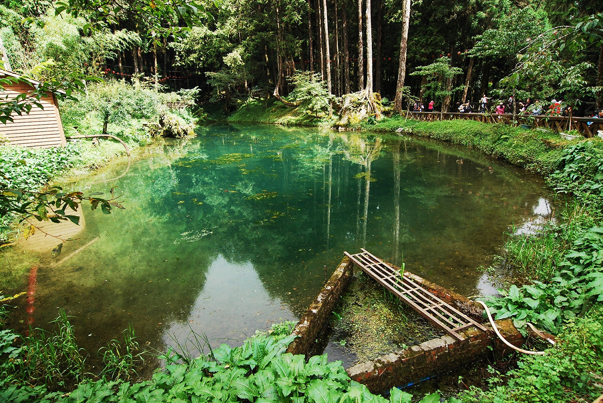 阿里山的姊妹潭為兩個大小不一的高山湖泊，湖水清澈碧綠，是阿里山森林中的的亮點。圖為妹潭。 圖：謝佳真／攝