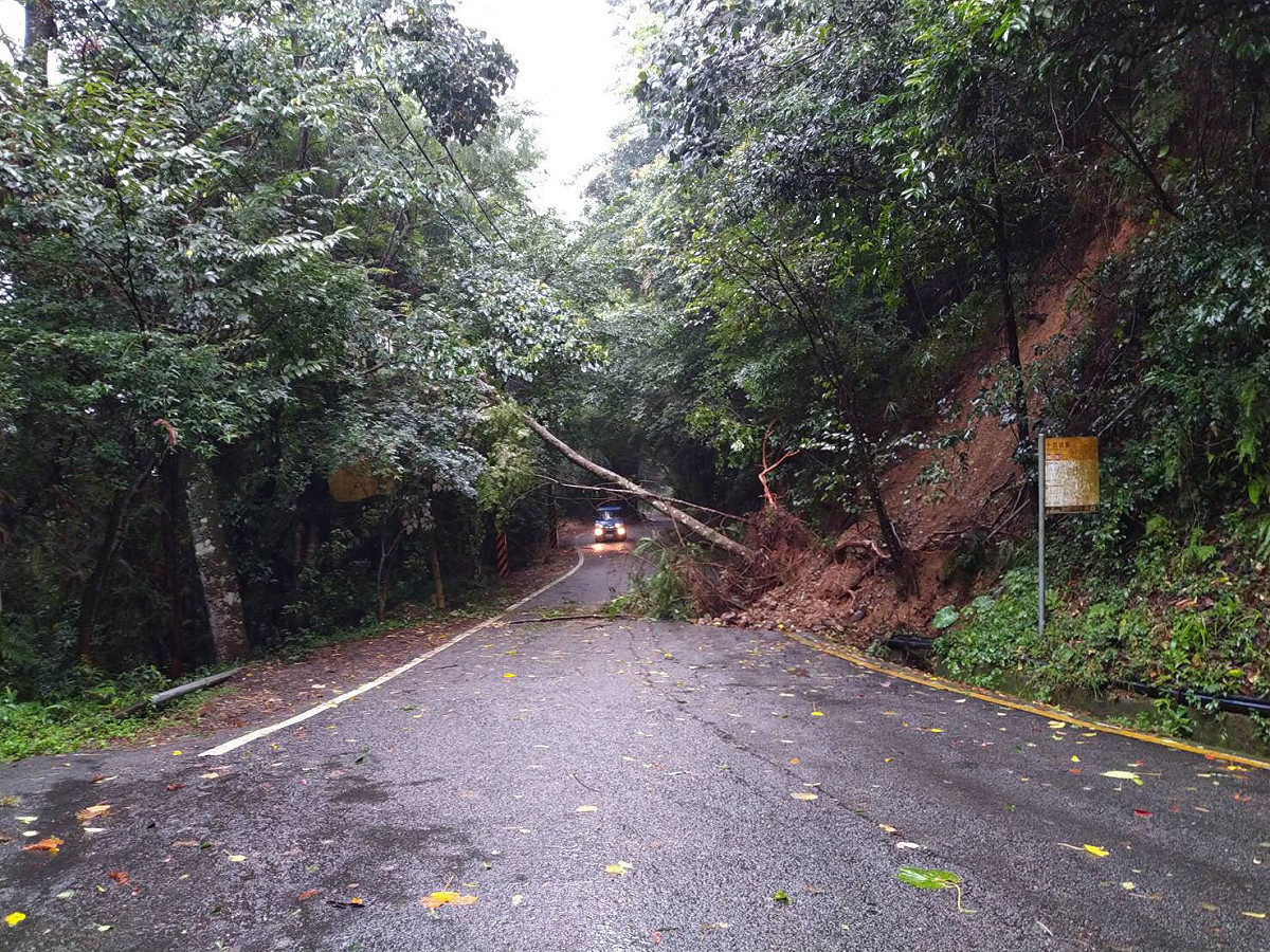 雪山路15公里處路樹倒塌。 圖 : 和平警察分局/提供