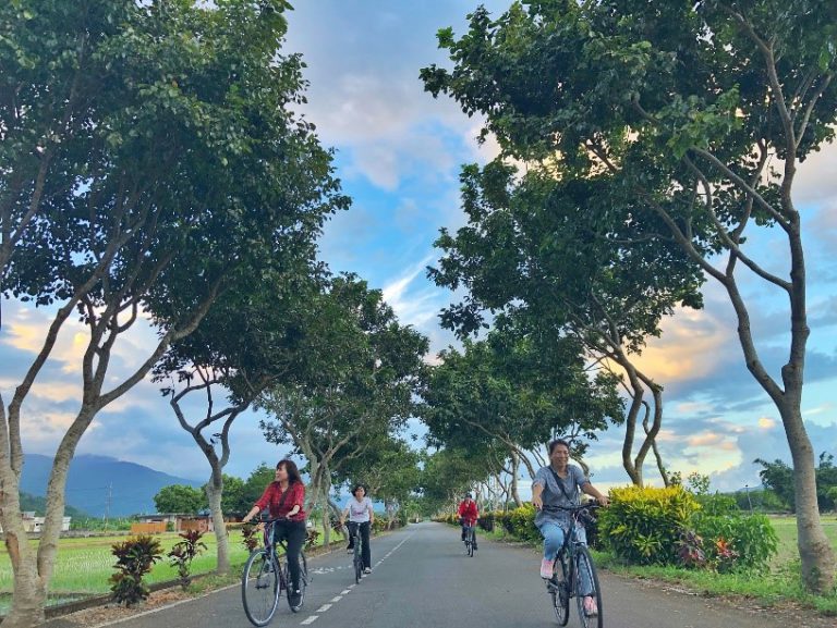 花東縱谷風景區風景壯美，路又平直，是非常棒的單車路線。 圖：海灣自行車慢旅官網／翻攝