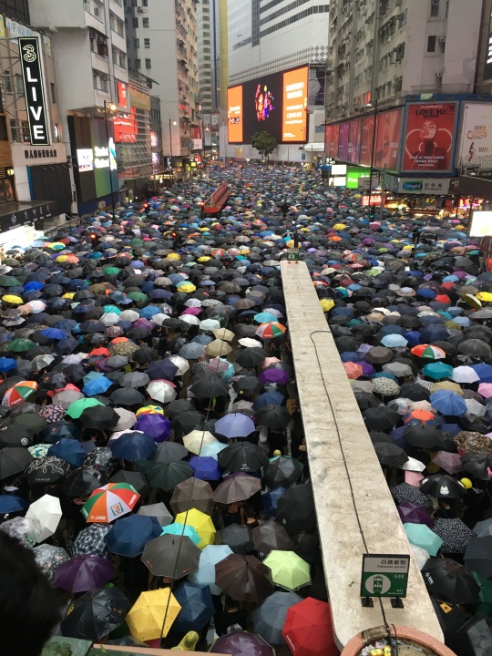 挺反送中，台外交官投書德國大報籲港府傾聽示威者聲音。 圖：取自連登討論區（資料照片）
