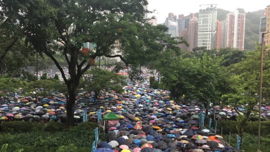 香港反送中人潮8月18日擠爆維多利亞公園。 圖：擷自連登討論區
