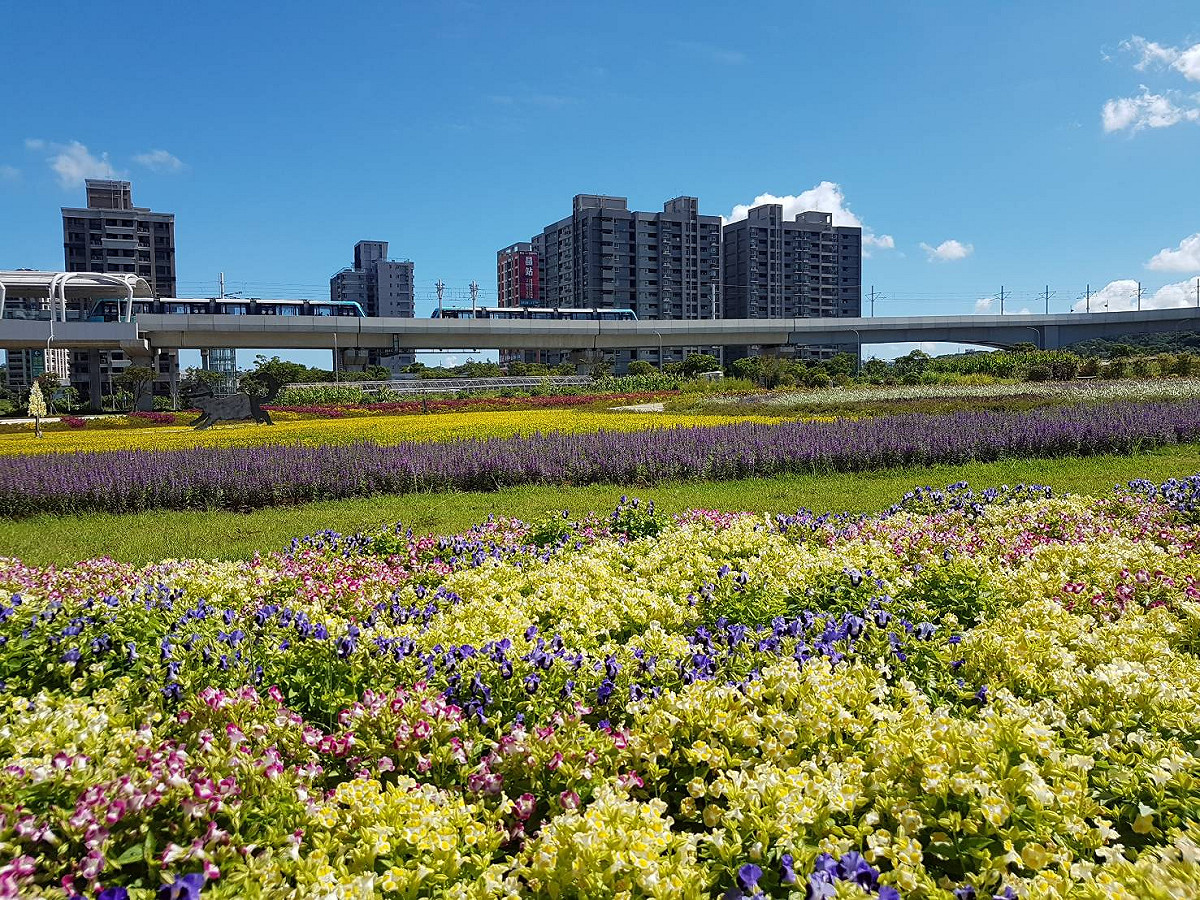 多種顏色的夏菫栽植在一起，甚是美麗。 圖：新北市政府／提供
