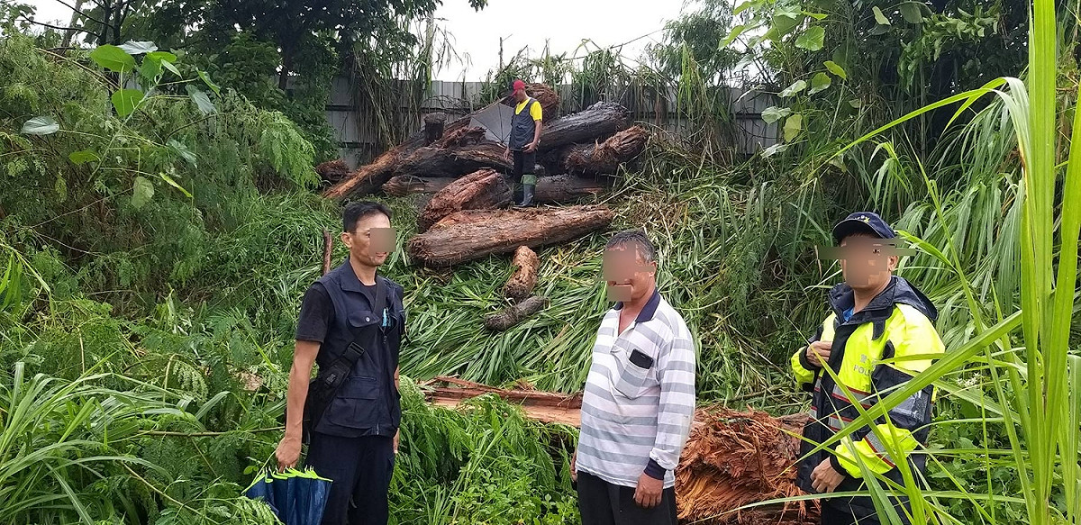 萬里溪查獲民眾盜取漂流木現況照片 圖：林務局花蓮林區管理處/提供