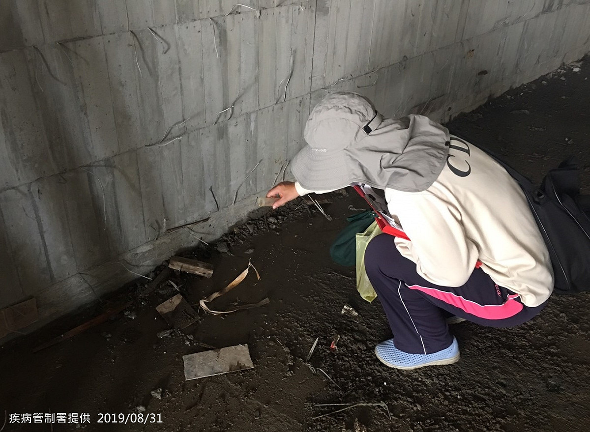 疾管署防疫人員於台南市北區執行孳生源查核。 圖：疾管署／提供