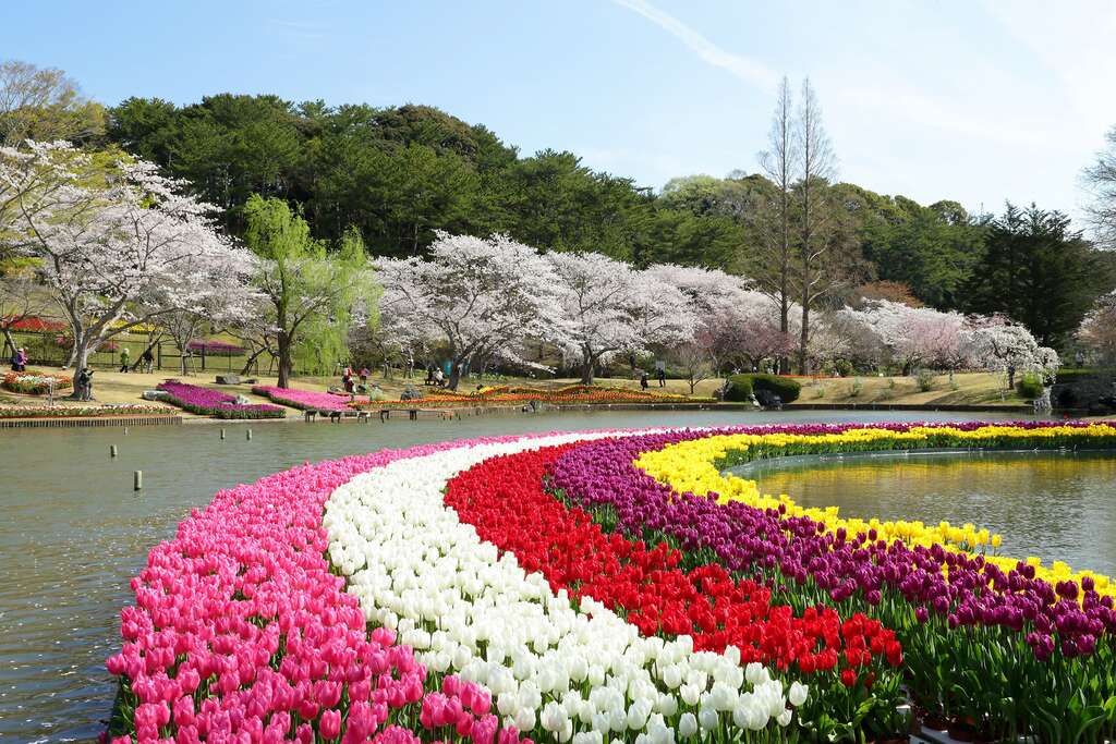 濱松花卉公園位於濱名湖畔，園內栽有約10萬株的植物，四季呈現不同色彩。 圖：翻攝自台北旅遊網
