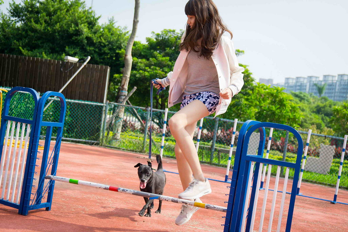 新北市動保處鼓勵飼主多帶毛寶貝運動。 圖：新北市動保處提供