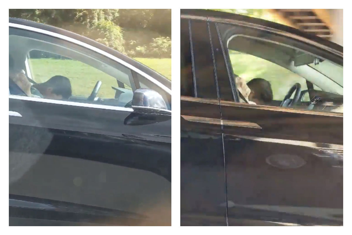 男子驚見鄰車開啟自動輔助駕駛，一行人竟然倒頭呼呼大睡。 合成圖／翻攝自 @DakRandall 推特）