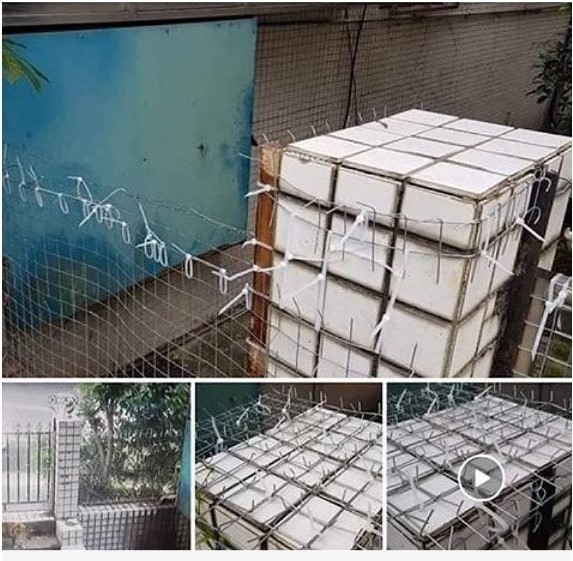 該店家先前刊登搭建鐵絲網和街貓奮戰的照片。 圖：新北市動保處／提供