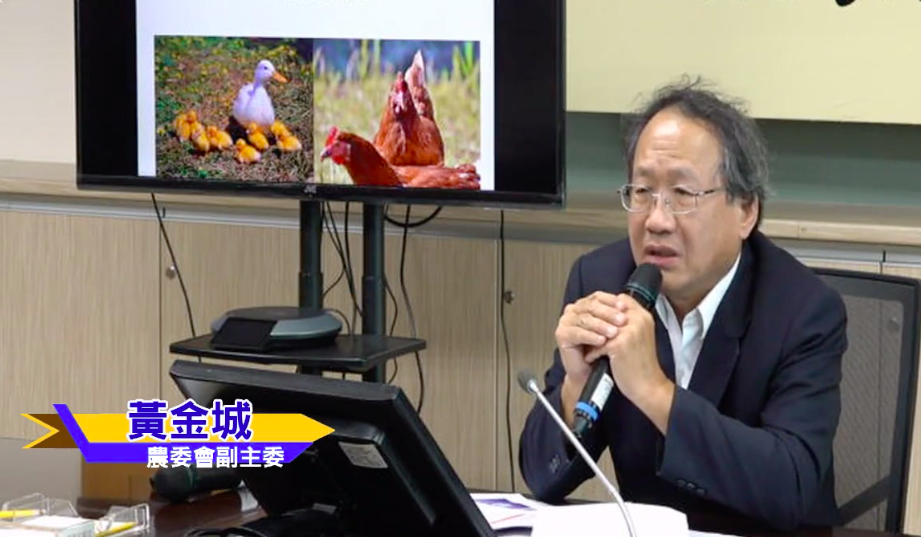 行政院農業委員會今（16）日證實，12日公布之高雄市旗山區1鴨場（主動監測）H5亞型高病原性禽流感案例，經家畜衛生試驗所進一步檢測分析，確診為感染H5N5高病原性禽流感（HPAI）病毒 圖：截自防檢局直播畫面