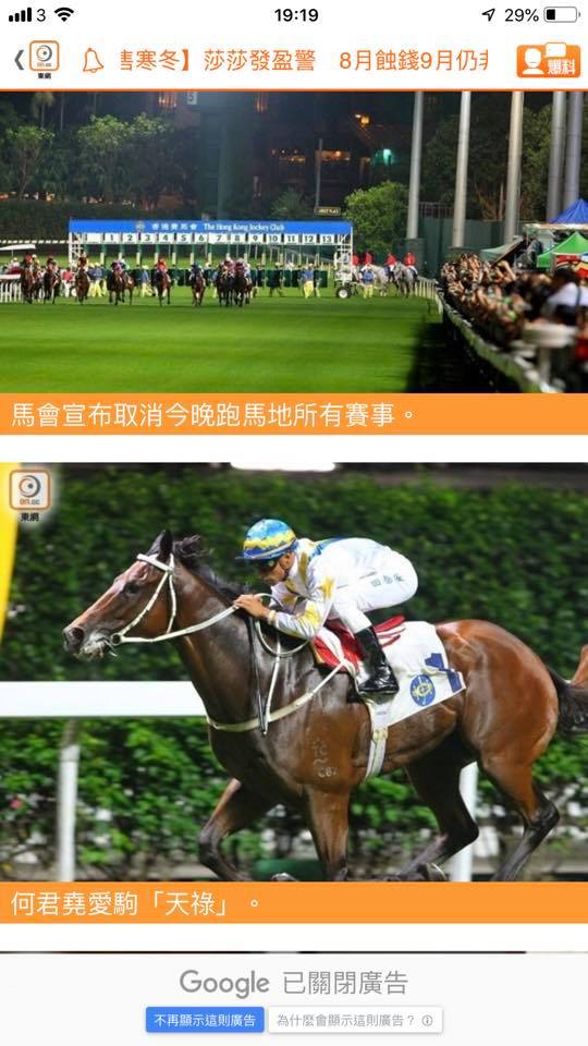 香港議員何君堯秀出愛馬「天祿」，對取消賽馬感到驚訝，並表示擔憂影響香港在賽馬世界之領導地位。 圖：翻攝自何君堯臉書
