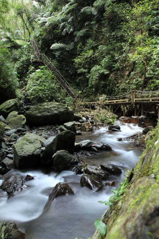 太平山森林遊樂區以及羅東林管處瑣轄的11條步道因米塔颱風預警性關閉。 圖：翻攝自宜蘭勁好玩