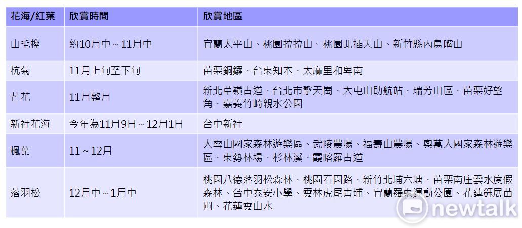台灣秋冬限定花海整理表。 製表：新頭殼