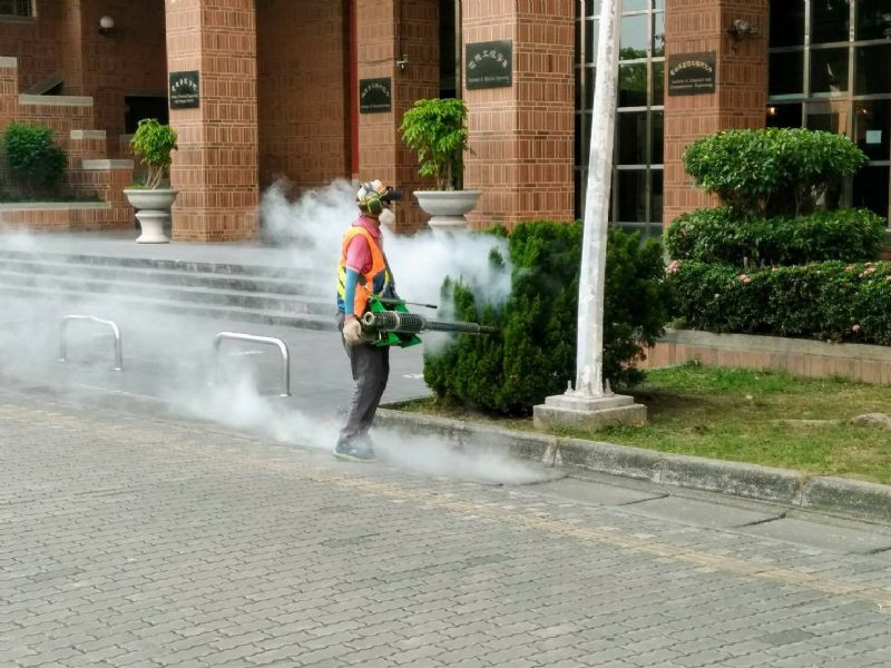台南衛生局已於成大校園進行化學防治作業。 圖：翻攝自台南衛生局網站