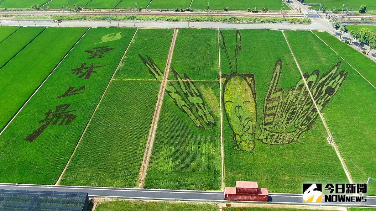圖 : nownews/提供