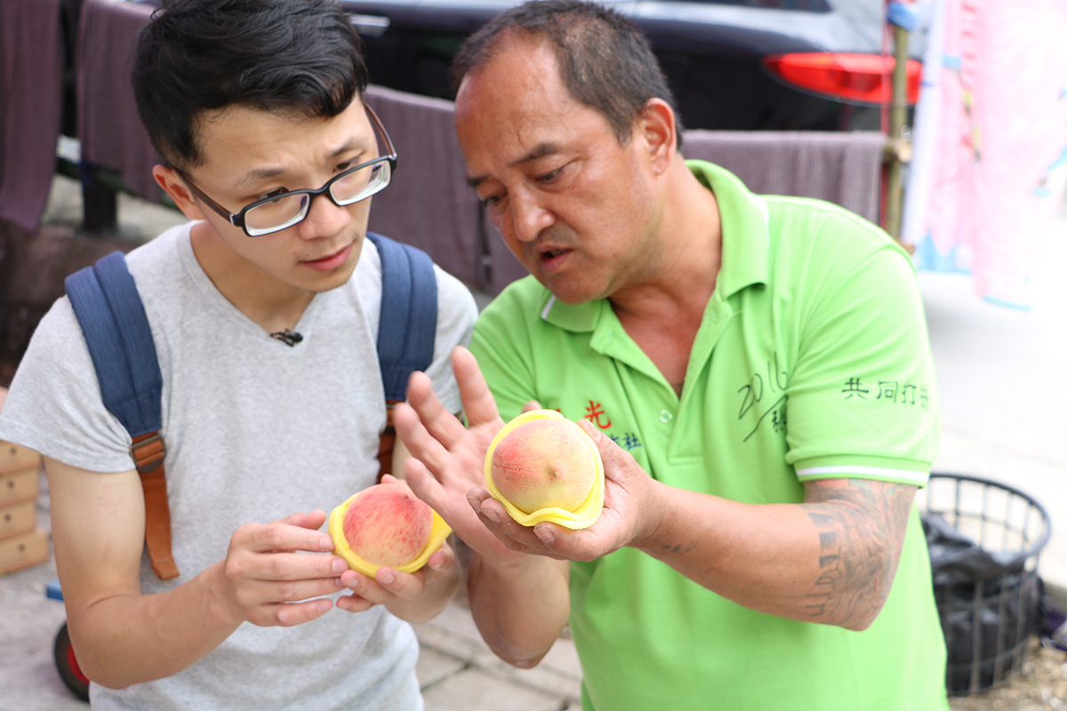 果物配執行長張智翔（左）正與三光合作社的果農（右）討教如何挑選五月桃。 圖：果物配／提供