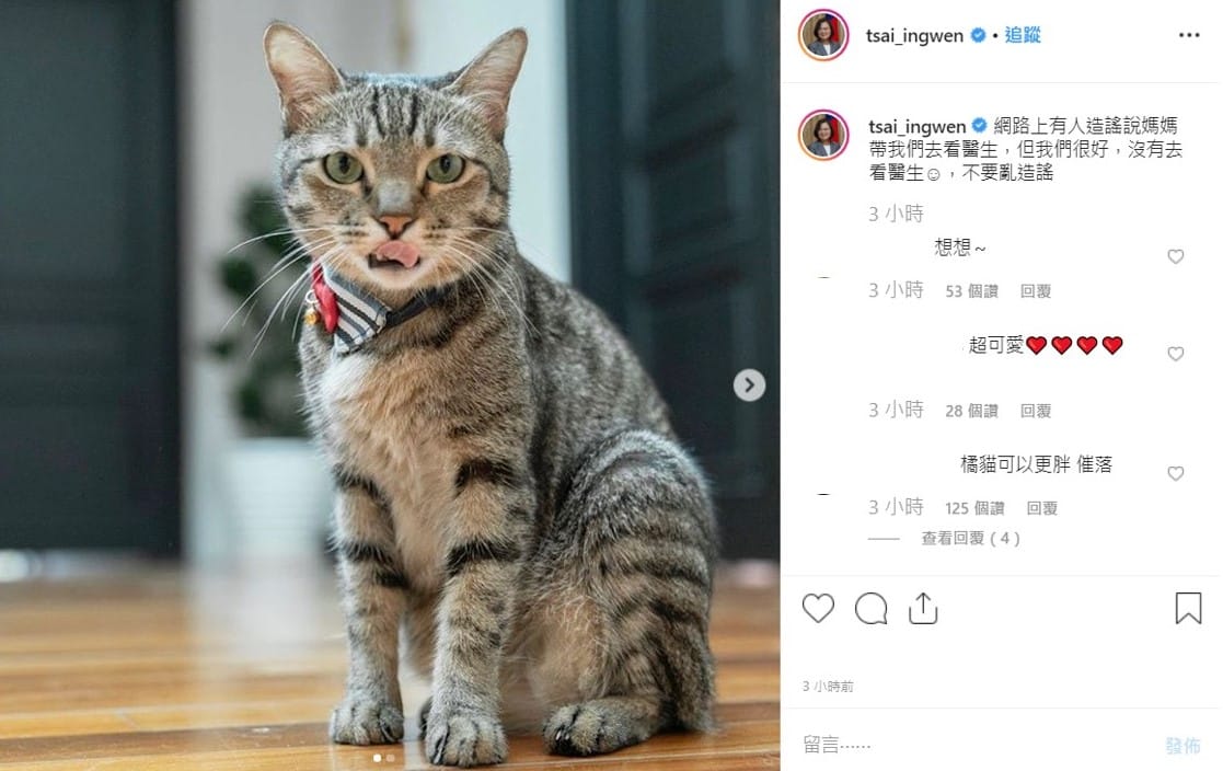 蔡想想表示，「網路上有人造謠說媽媽帶我們去看醫生，但我們很好，沒有去看醫生，不要亂造謠。」 圖 :	翻攝自蔡英文IG