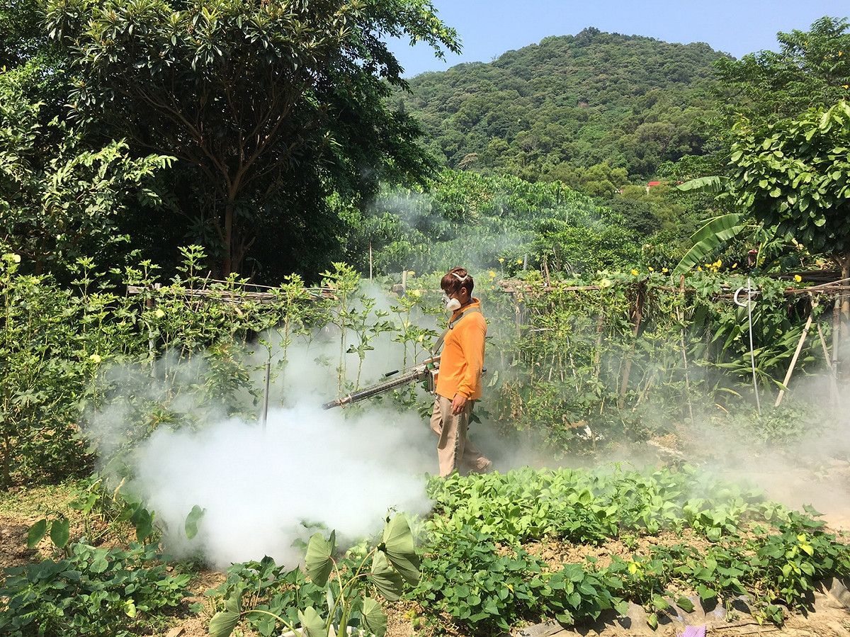 疾管署與新北市政府持續安排防疫人員加強對坡內里菜園的病媒蚊防治。 圖：新北市政府衛生局／提供