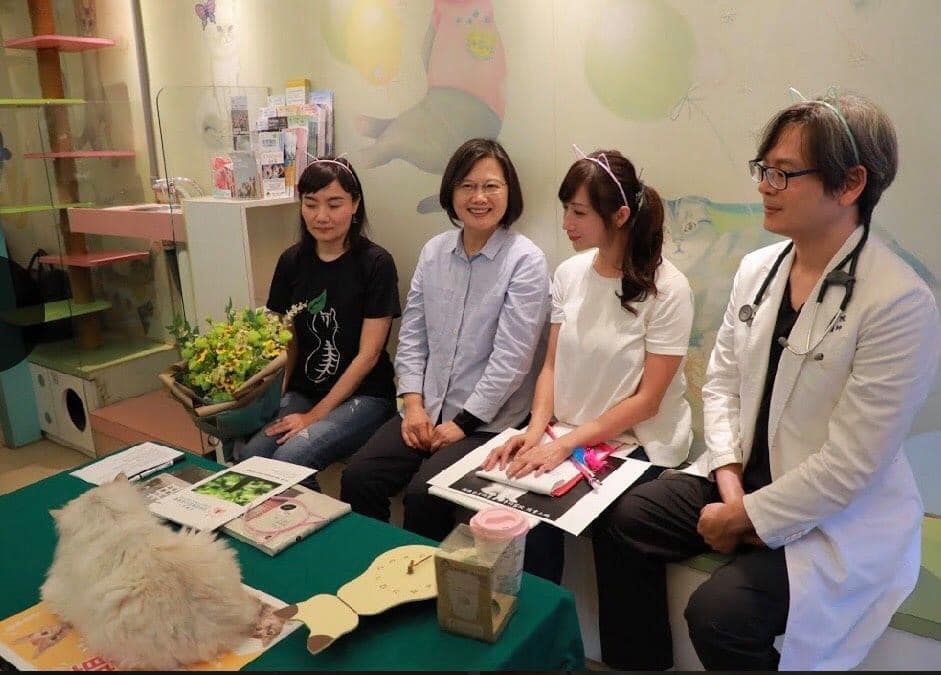 總統蔡英文日前在直播中大談養貓經，未料卻引來韓粉惡意抹黑。 圖/翻攝自許淑華臉書