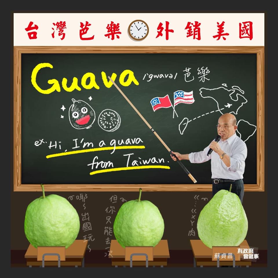 蘇貞昌今天親自教芭樂學英文，加強大家對農作物的雙語教育。 圖/翻攝自蘇貞昌臉書