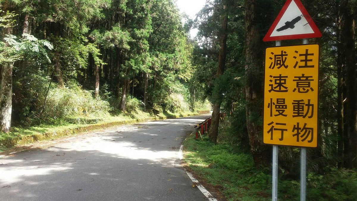 為了防止出現更多路殺憾事，羅東林管處在園區內設置動物路殺告示牌，提醒用路人減速。 圖：翻攝自羅東林管處網站