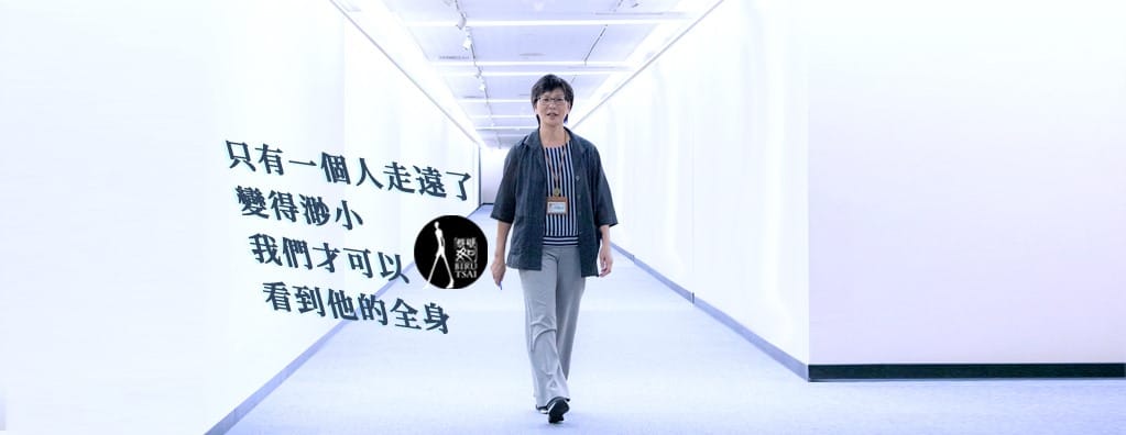 北市府顧問蔡壁如昨(20)日成立了她的官方臉書粉絲專頁 圖：擷取自蔡壁如臉書專頁