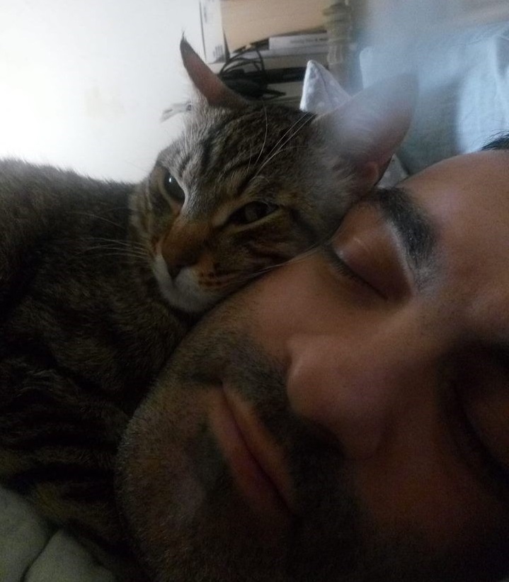 義大利一對夫妻因為被自己飼養的兩隻貓咪吵醒，才從土石流逃過一劫。圖為男主人皮亞納與他的貓。 圖：取自claudio piana臉書