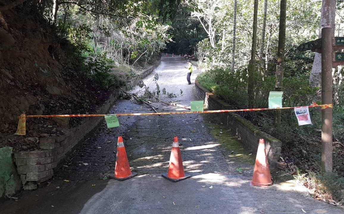 中市新田2號登山步道 即日起封閉改善路面