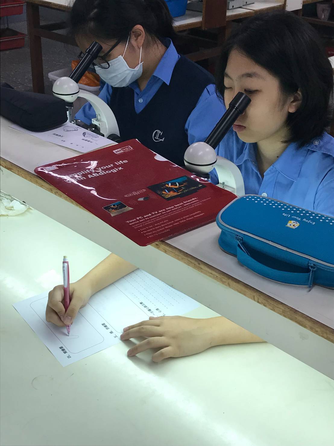 馮道可同學平時研究生物的情形。 圖：竹林中學提供