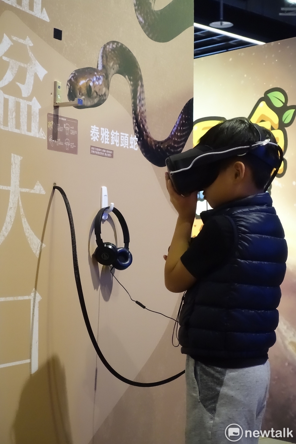 「微距大冒險區」展示活體及生物標本，讓觀眾先看實體再進入虛擬世界，感受40到100倍放大的立體VR驚奇。 圖：郜敏／攝