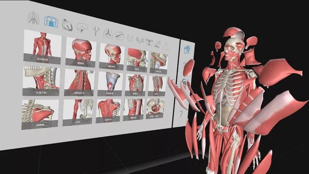 HTC旗下健康醫療事業部DeepQ展出「3D Organon VR Anatomy」，為目前全球最完善的虛擬實境解剖學軟體。 圖：翻攝自三創園區官網