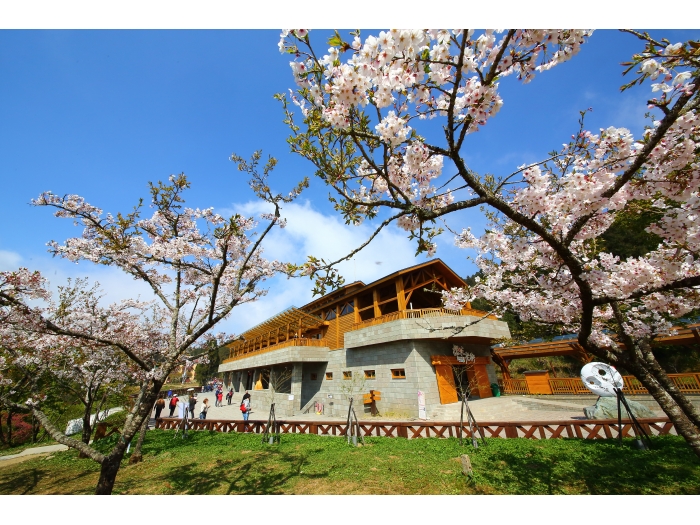 觀光局與各地風管處、政府各部會聯合推出24條山岳旅遊遊程，包含一般的輕鬆行和具有挑戰性的路線。 圖：翻攝自脊梁山脈旅遊年官網