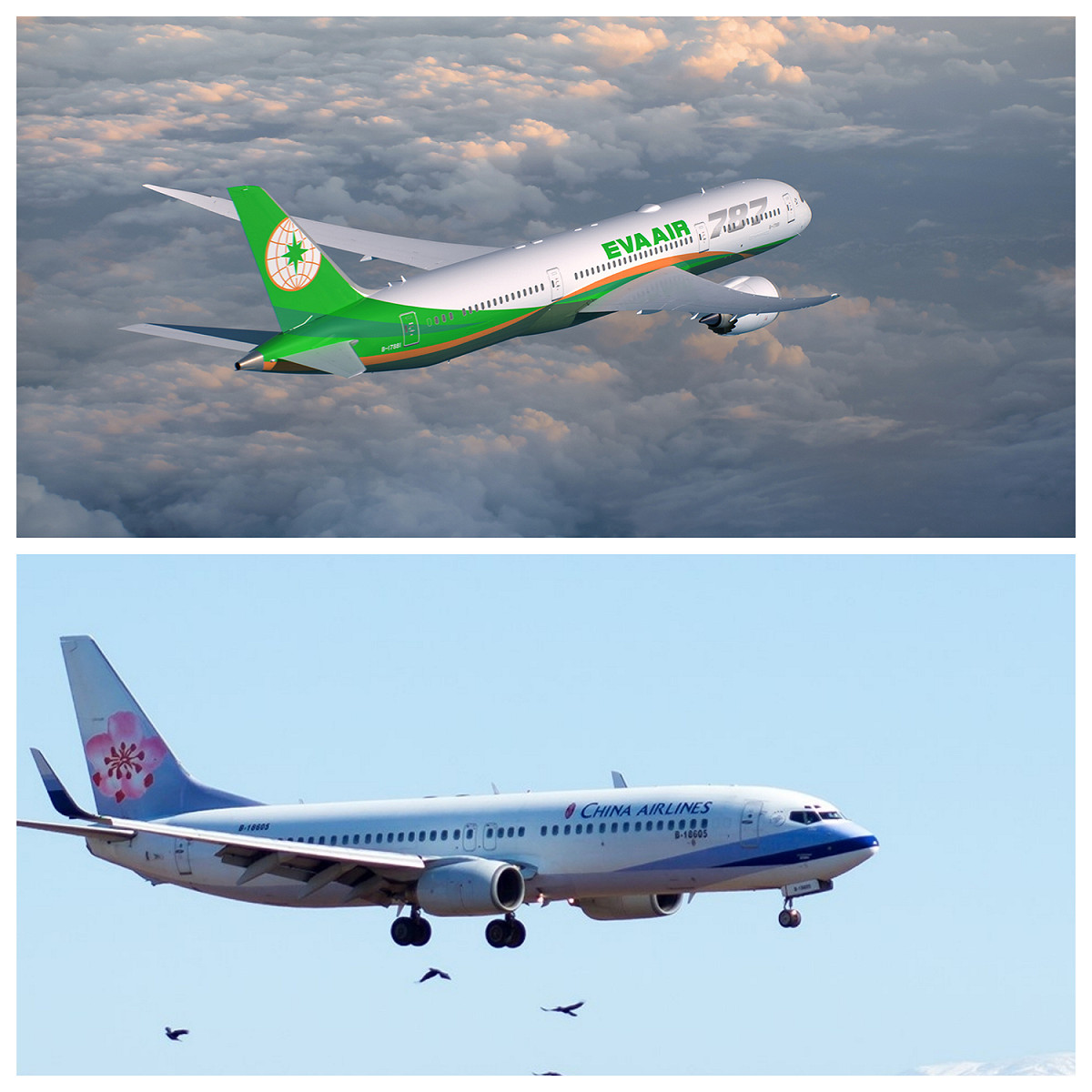 台灣兩家國籍航空獲得2020五星級航空評鑑殊榮。 圖：新頭殼／製圖