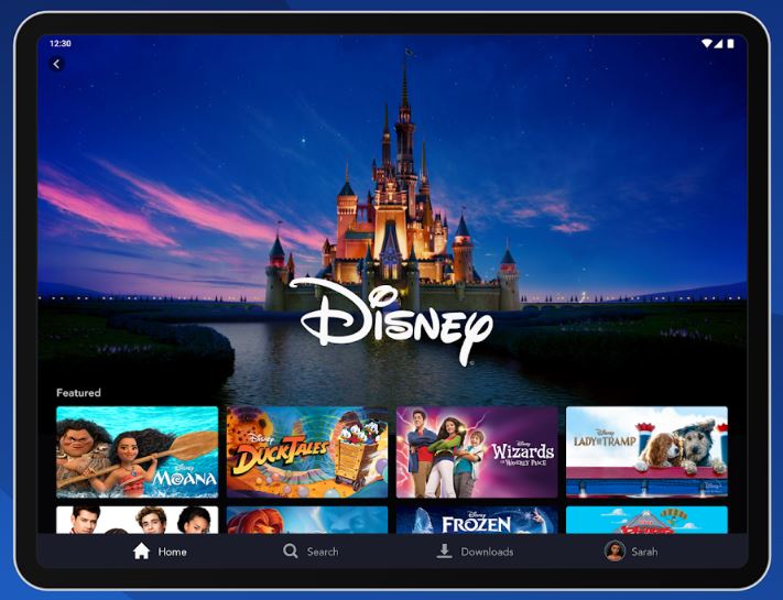 針對先前的駭客事件，Disney官方日前澄清，並無發現Disney+系統漏洞。 圖：截取自Disney＋Google Play