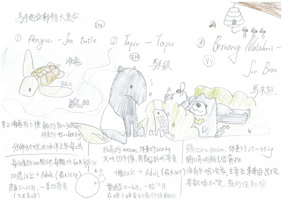 黃家融所創作的「馬來西亞原生種動物繪本」。  圖：移民署提供