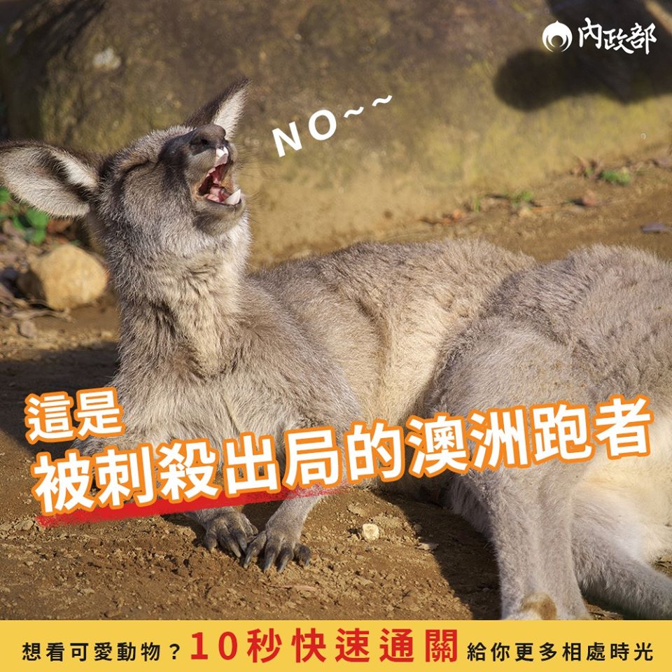 內政部指出，期待投手封印澳洲的打線，讓他們香甜入夢鄉。 圖：翻攝自內政部臉書